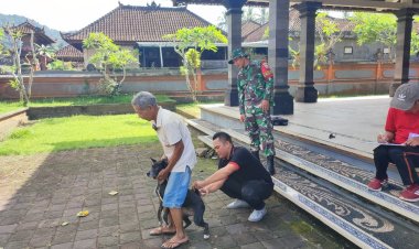 Sertu Wayan Dampingi Pelaksanaan Vaksinasi Rabies di Desa Dawan Kaler